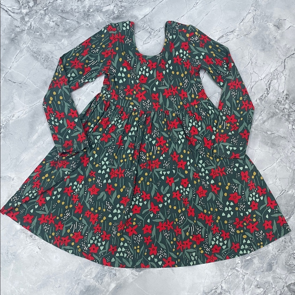 Hanna Andersson Holiday Floral Long Sleeve Dress